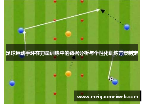 足球运动手环在力量训练中的数据分析与个性化训练方案制定